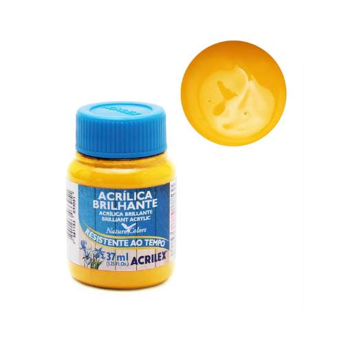 Tinta Acrilica Brilhante 37ml Acrilex