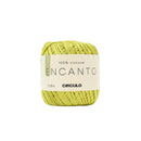 Circulo Linha Encanto 128m 100g