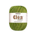 Circulo Linha Cléa Duplo 508m 150g