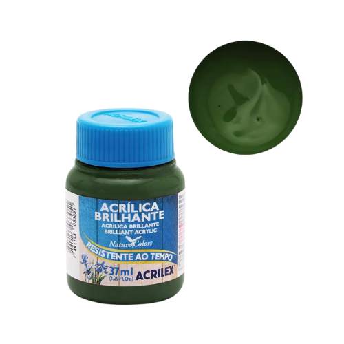 Tinta Acrilica Brilhante 37ml Acrilex