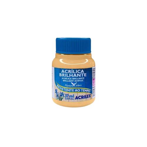 Tinta Acrilica Brilhante 37ml Acrilex